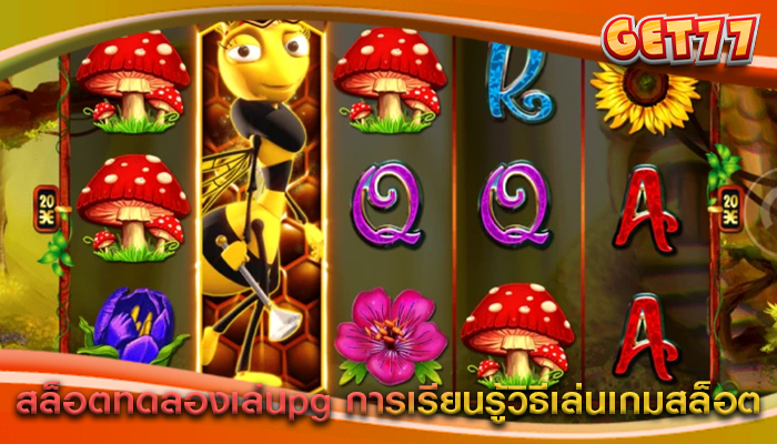 สล็อตทดลองเล่นpg การเรียนรู้วิธีเล่นเกมสล็อต